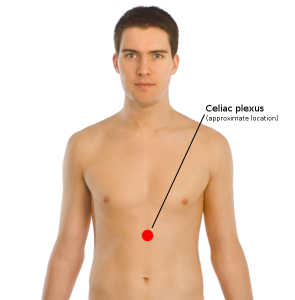 Celiac_plexus_coronal
